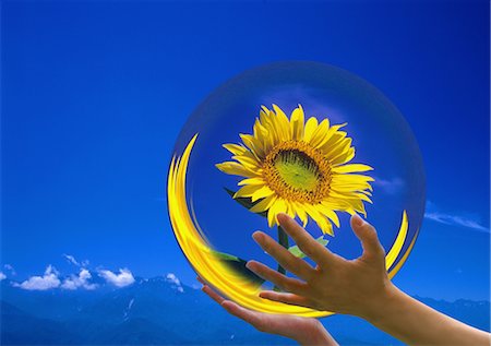 prisms - Hands holding flower in sphere Stock Photo - Rights-Managed, Code: 859-03035875