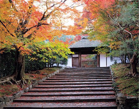 simsearch:6119-09238429,k - Traditional Japanese building in Autumn Fotografie stock - Rights-Managed, Codice: 859-03035895