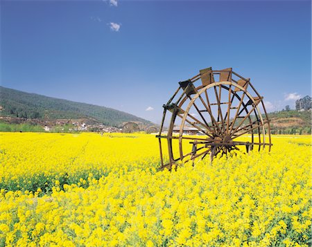 Ancienne roue hydraulique dans un pré Photographie de stock - Rights-Managed, Code: 859-03036623