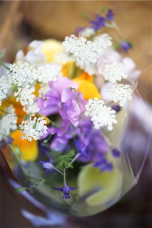 simsearch:859-03036806,k - Assortment of flowers Fotografie stock - Rights-Managed, Codice: 859-03036716