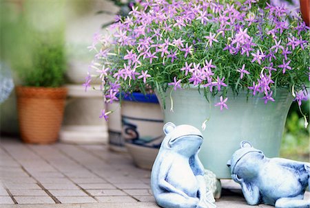 Flower pots and garden frogs Stock Photo - Rights-Managed, Code: 859-03036726