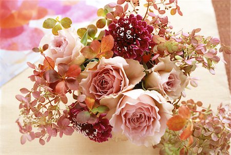 simsearch:859-03884561,k - Assorted flowers Stock Photo - Rights-Managed, Code: 859-03036743