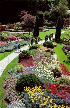 shrubs walkway - Jardin cultivé de différents fleurs Photographie de stock - Rights-Managed, Code: 859-03036813