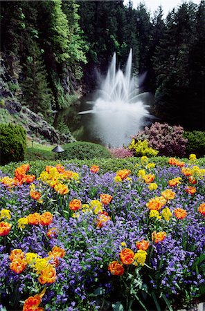 simsearch:859-03036806,k - Bed of purple orange and yellow flowers with artificial fountain behind in lake Fotografie stock - Rights-Managed, Codice: 859-03036826