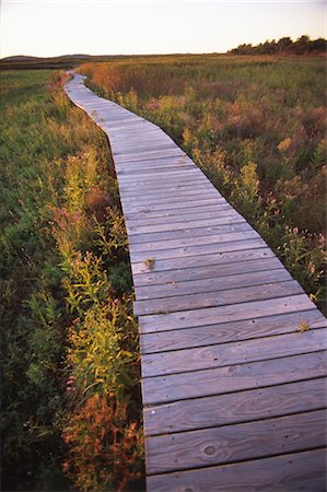 Wooden built pathway Stock Photo - Rights-Managed, Code: 859-03036951