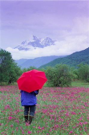 simsearch:859-03036806,k - Person standing in field of pink flowers looking at mountain Fotografie stock - Rights-Managed, Codice: 859-03037055