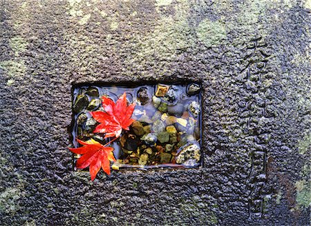Herbstlaub auf Felsen Stockbilder - Lizenzpflichtiges, Bildnummer: 859-03037051