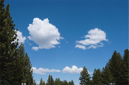 esponja - Fluffy Clouds in Sky Foto de stock - Con derechos protegidos, Código: 859-03037539