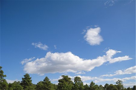 simsearch:859-03037551,k - Fluffy Clouds dans le ciel Photographie de stock - Rights-Managed, Code: 859-03037557