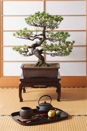Japanese Bonsai Tree and a Japanese Tea set Stock Photo - Rights-Managed, Code: 859-03038035