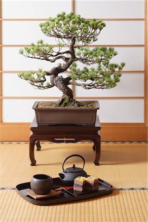 Japanese Bonsai Tree and a Japanese Tea set Stock Photo - Rights-Managed, Code: 859-03038036