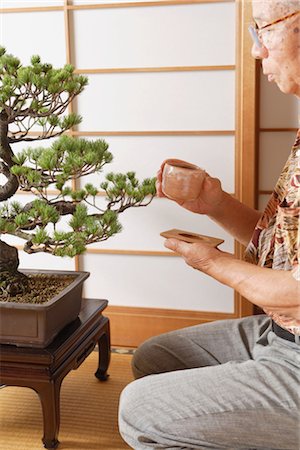 Man Drinking Tea and admiring a Bonsai Tree Stock Photo - Rights-Managed, Code: 859-03038037