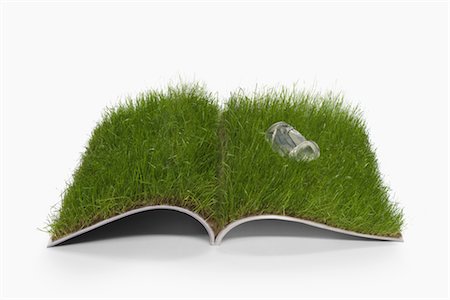 education concept - Crushed can on growing grass Foto de stock - Con derechos protegidos, Código: 859-03038659