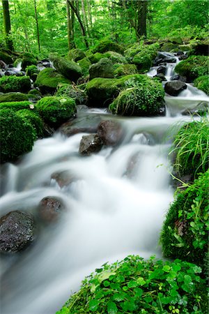 ecology water - River with Mossy Rocks Stock Photo - Rights-Managed, Code: 859-03039795