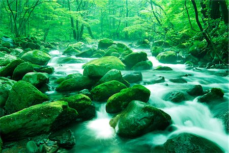 ecology water - River with Mossy Rocks Stock Photo - Rights-Managed, Code: 859-03039808