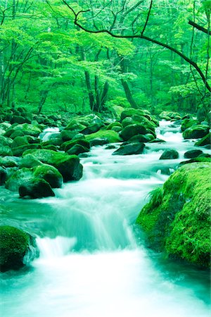 ecology water - River with Mossy Rocks Stock Photo - Rights-Managed, Code: 859-03039803