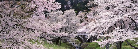 Gifu Prefecture,Kamagatani Foto de stock - Con derechos protegidos, Código: 859-03039824