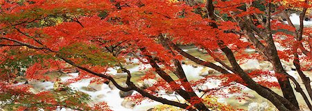 Fukushima Prefecture The Natsui river ravine Foto de stock - Con derechos protegidos, Código: 859-03039849