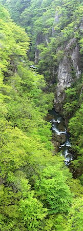 Waterfall and gorge Foto de stock - Direito Controlado, Número: 859-03039843