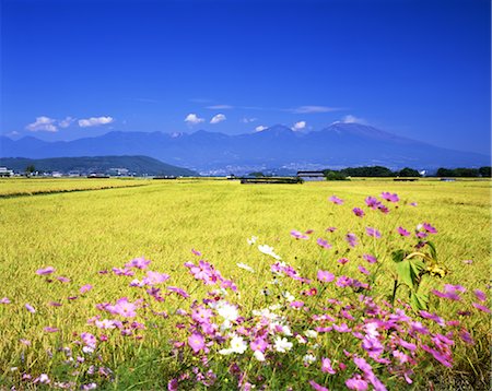 La préfecture de Nagano Asama-yama Photographie de stock - Rights-Managed, Code: 859-03039926