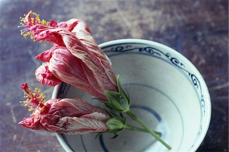 Hibiscus Stock Photo - Rights-Managed, Code: 859-03040078