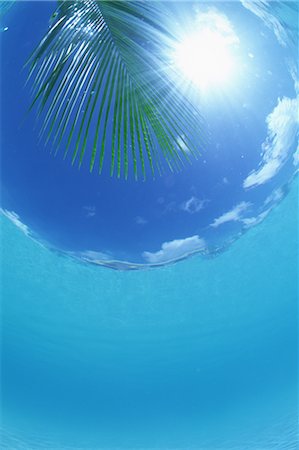 simsearch:859-03040394,k - Tropical Ocean Stock Photo - Rights-Managed, Code: 859-03040258