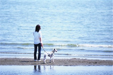 dog walk asian - Women With Dog at the Beach Stock Photo - Rights-Managed, Code: 859-03041048