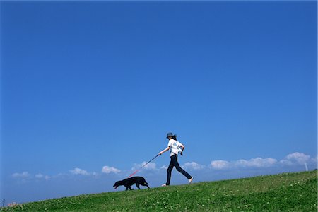 dog walk asian - Dog and Woman In Field Stock Photo - Rights-Managed, Code: 859-03041051