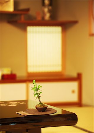 Traditional Japanese Style Room With Kokedama Bonsai Stock Photo - Rights-Managed, Code: 859-03041090