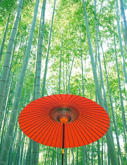 Red Paper Umbrella In Bamboo Forest Photographie de stock - Premium Droits Gérés, Artiste: Aflo Relax, Le code de l’image : 859-03041150