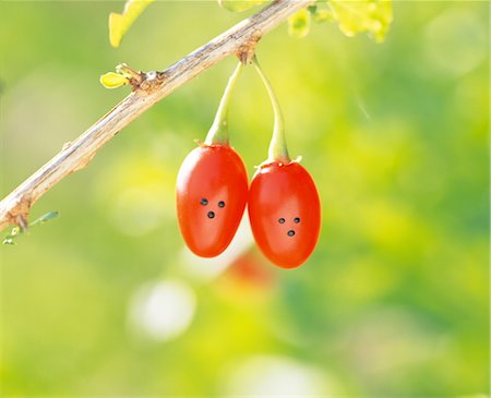 Rote Beeren mit Gesichtern Stockbilder - Lizenzpflichtiges, Bildnummer: 859-03041219