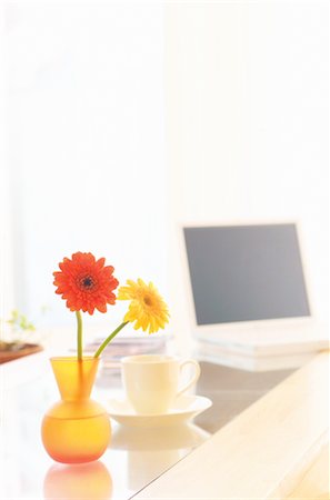 disk flower - Gerberas And Tea Cup On Table Stock Photo - Rights-Managed, Code: 859-03041428