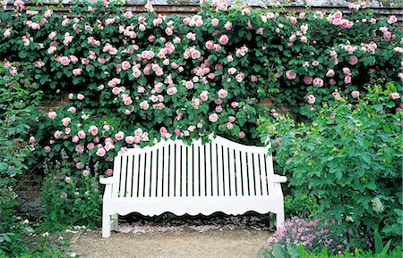 simsearch:859-03041504,k - White Bench And Pink Roses In A Garden Stock Photo - Rights-Managed, Code: 859-03041469