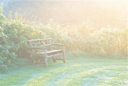 flowers mist - Garden Veiled In Morning Haze Stock Photo - Rights-Managed, Code: 859-03041474