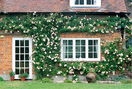 simsearch:859-03041462,k - Brick House Covered With Pink Roses Stock Photo - Rights-Managed, Code: 859-03041470