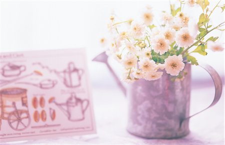 Flowers In A Watering Can Stock Photo - Rights-Managed, Code: 859-03041494