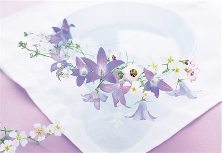 simsearch:859-03041558,k - Blue Flowers In A Glass Bowl Stock Photo - Rights-Managed, Code: 859-03041515