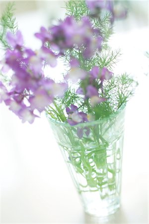 simsearch:859-03041558,k - Blue Flowers In A Glass Stock Photo - Rights-Managed, Code: 859-03041511