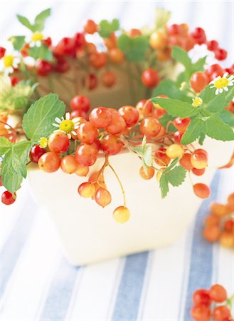 simsearch:859-03041327,k - Orange Berries In A White Vase Stock Photo - Rights-Managed, Code: 859-03041526