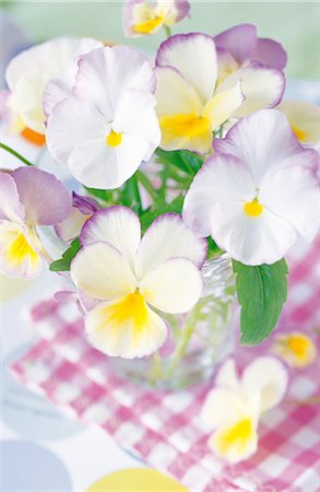 simsearch:859-03041504,k - Violets In A Glass Vase Stock Photo - Rights-Managed, Code: 859-03041529