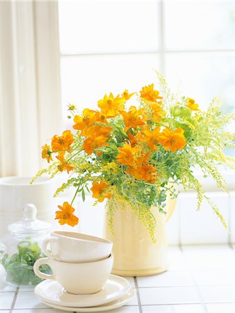 simsearch:859-03041462,k - Orange Flowers In Ceramic Pot Stock Photo - Rights-Managed, Code: 859-03041520