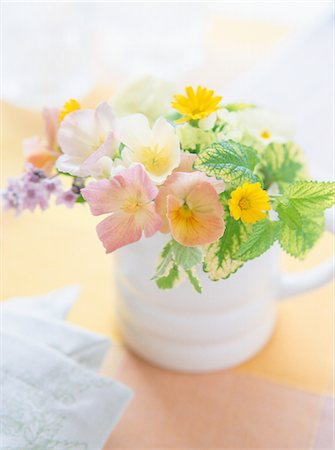 simsearch:859-03041462,k - Flowers In A White Pot Stock Photo - Rights-Managed, Code: 859-03041536