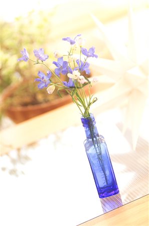 simsearch:859-03041504,k - Blue Flowers In A Blue Bottle Stock Photo - Rights-Managed, Code: 859-03041538