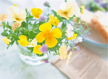 Yellow Flowers In A Glass Stock Photo - Rights-Managed, Code: 859-03041531