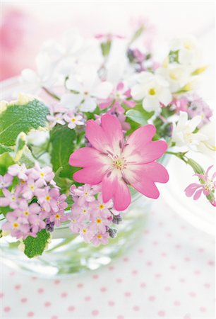 simsearch:859-03041558,k - Pink Flowers In A Glass Vase Stock Photo - Rights-Managed, Code: 859-03041533