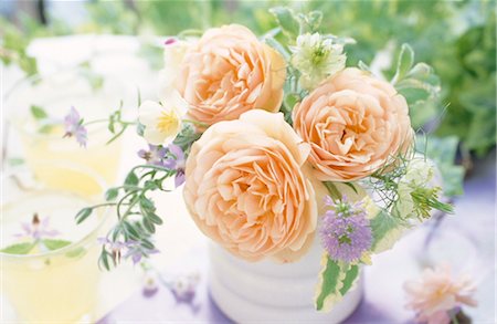 simsearch:859-03041462,k - Orange Roses In A White Vase Stock Photo - Rights-Managed, Code: 859-03041546