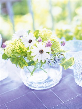 simsearch:859-03041558,k - White Flowers In A Glass Vase Stock Photo - Rights-Managed, Code: 859-03041555