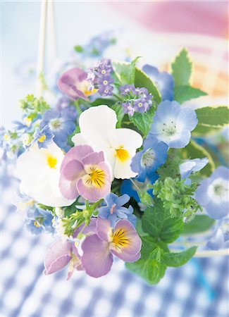 simsearch:859-03041462,k - Arranged Blue Flowers Stock Photo - Rights-Managed, Code: 859-03041557