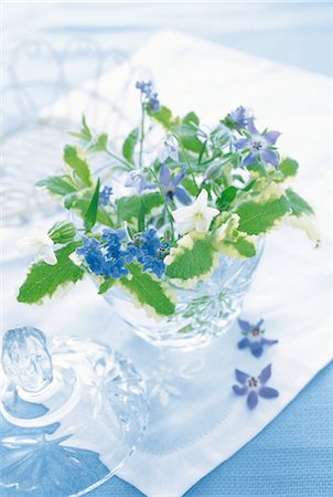 simsearch:859-03041558,k - Blue Flowers In A Glass Pot Stock Photo - Rights-Managed, Code: 859-03041559