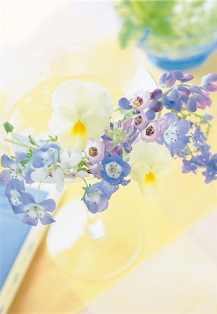 simsearch:859-03041504,k - Blue Flowers In A Glass Stock Photo - Rights-Managed, Code: 859-03041560